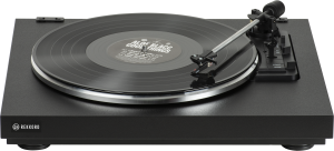 F110+vinyl-playing-cutout
