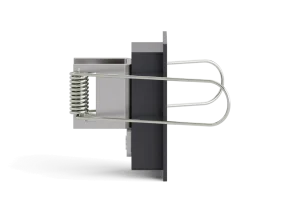 KV52RIIBlackbackrightside